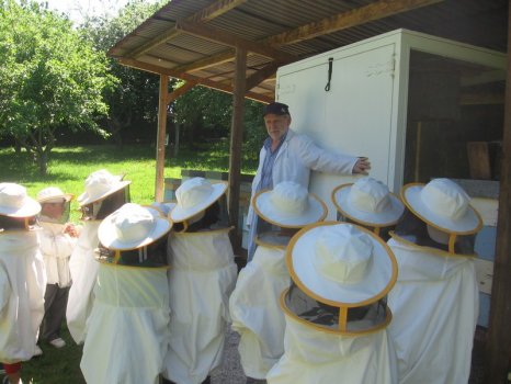 Preme para ver a foto ampliada