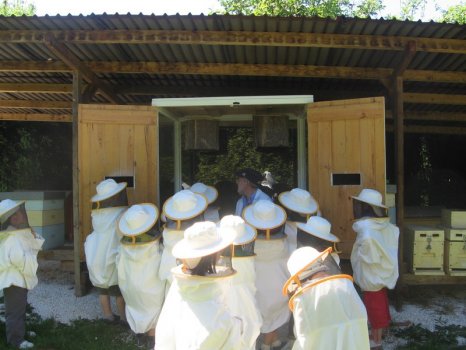 Preme para ver a foto ampliada