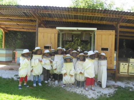 Preme para ver a foto ampliada