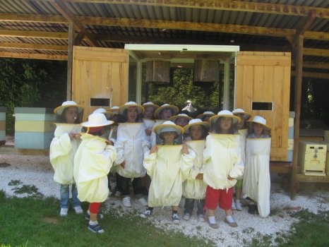 Preme para ver a foto ampliada