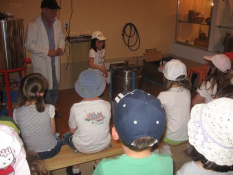 Preme para ver a foto ampliada