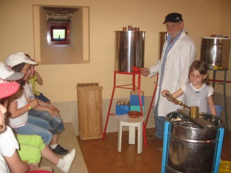 Preme para ver a foto ampliada