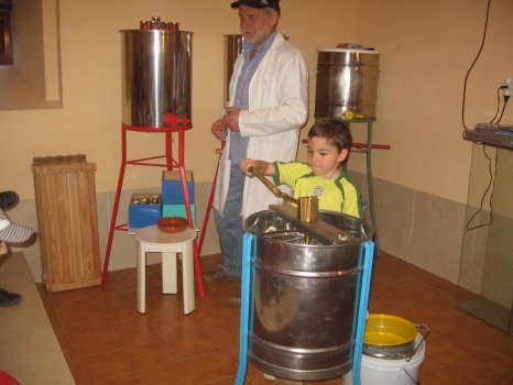 Preme para ver a foto ampliada