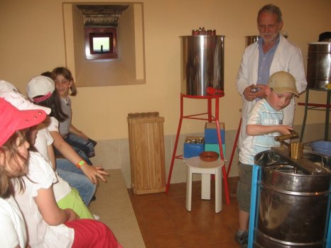 Preme para ver a foto ampliada