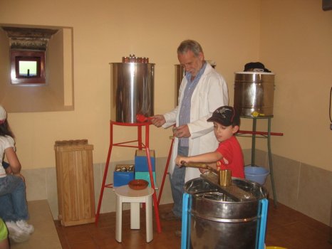 Preme para ver a foto ampliada