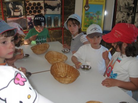 Preme para ver a foto ampliada