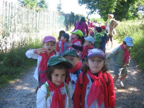 Preme para ver a foto ampliada