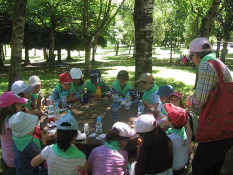 Preme para ver a foto ampliada