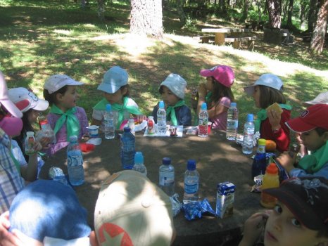 Preme para ver a foto ampliada