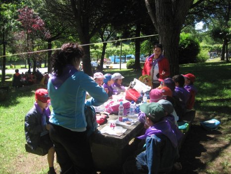 Preme para ver a foto ampliada