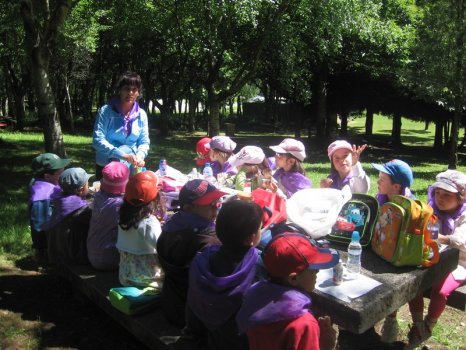 Preme para ver a foto ampliada