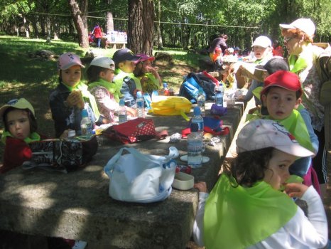 Preme para ver a foto ampliada