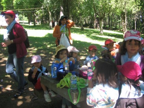 Preme para ver a foto ampliada