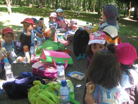 Preme para ver a foto ampliada