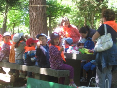 Preme para ver a foto ampliada