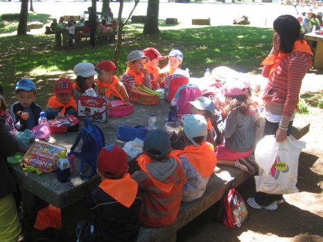 Preme para ver a foto ampliada