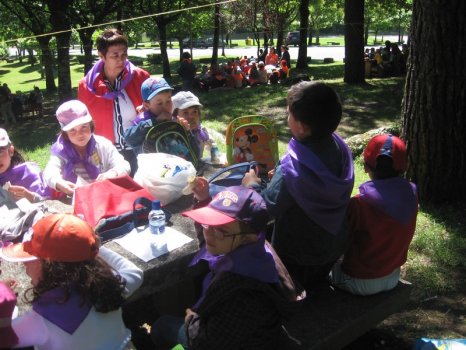 Preme para ver a foto ampliada