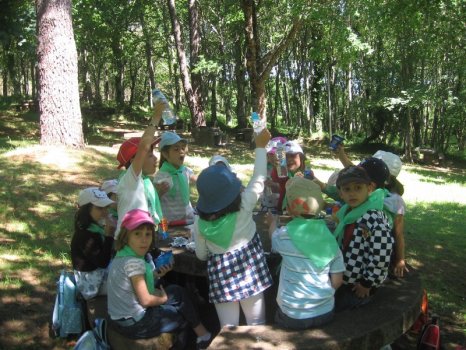 Preme para ver a foto ampliada