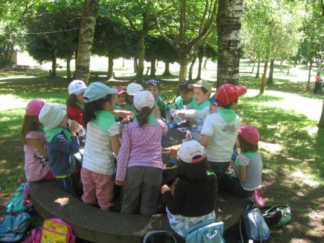 Preme para ver a foto ampliada