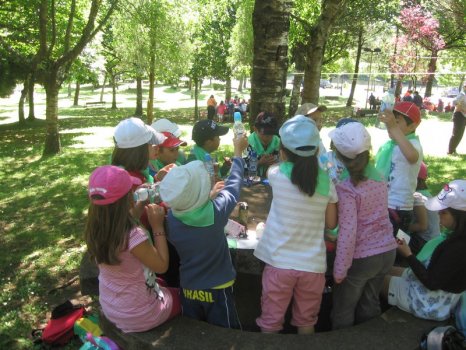 Preme para ver a foto ampliada