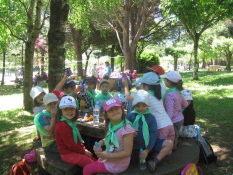 Preme para ver a foto ampliada