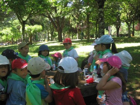 Preme para ver a foto ampliada