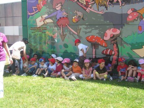 Preme para ver a foto ampliada