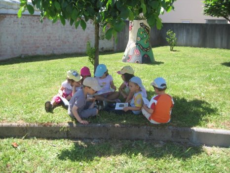 Preme para ver a foto ampliada