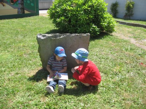 Preme para ver a foto ampliada