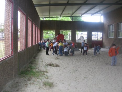 Preme para ver a foto ampliada