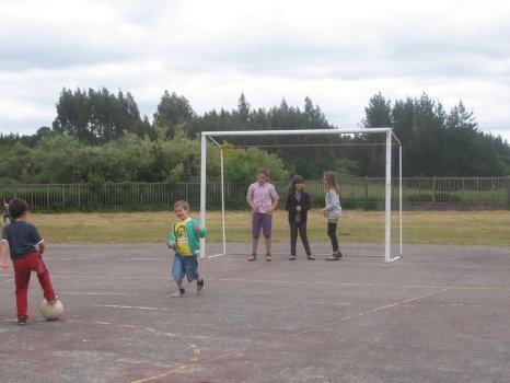 Preme para ver a foto ampliada