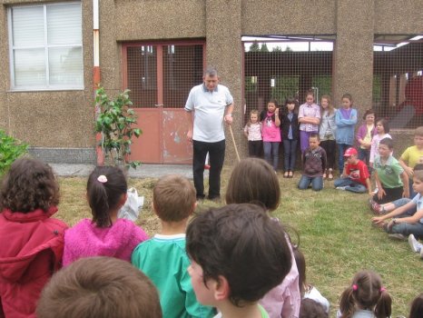 Preme para ver a foto ampliada