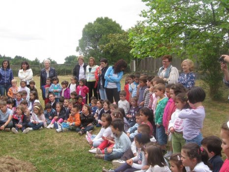 Preme para ver a foto ampliada