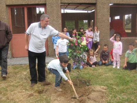 Preme para ver a foto ampliada