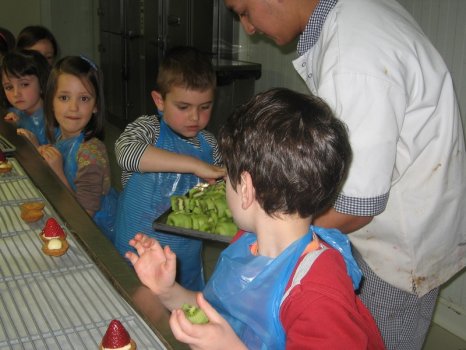 Preme para ver a foto ampliada