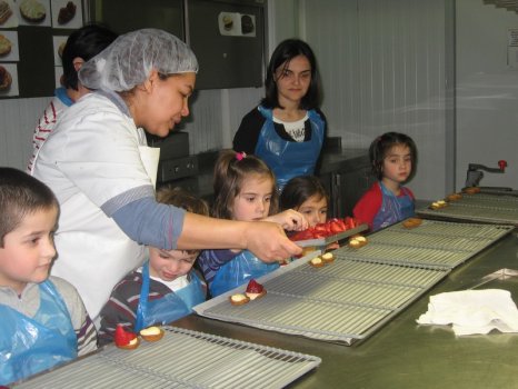 Preme para ver a foto ampliada