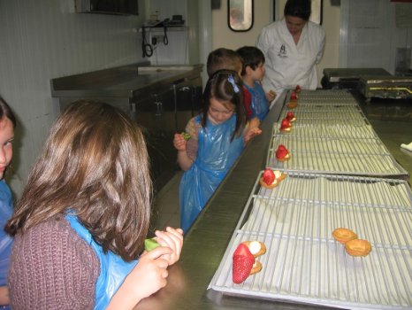 Preme para ver a foto ampliada