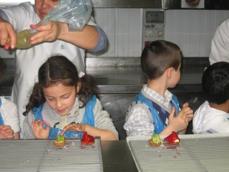 Preme para ver a foto ampliada