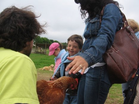 Preme para ver a foto ampliada
