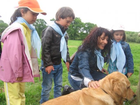 Preme para ver a foto ampliada