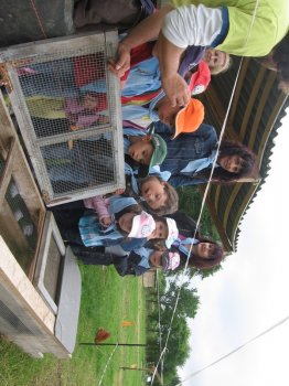 Preme para ver a foto ampliada