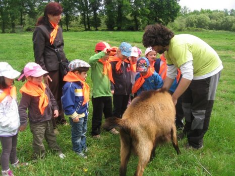 Preme para ver a foto ampliada