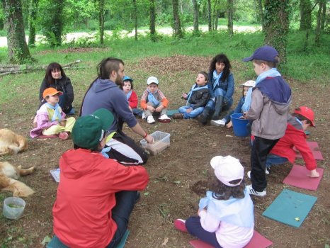 Preme para ver a foto ampliada