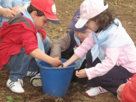 Preme para ver a foto ampliada