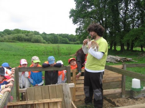 Preme para ver a foto ampliada