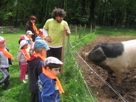 Preme para ver a foto ampliada