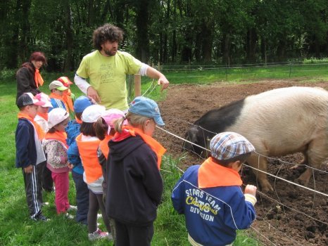 Preme para ver a foto ampliada