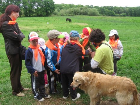 Preme para ver a foto ampliada