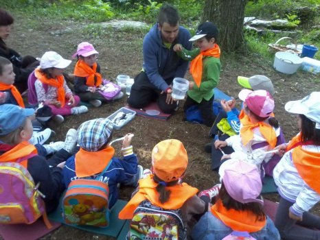 Preme para ver a foto ampliada