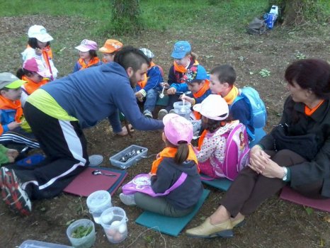 Preme para ver a foto ampliada